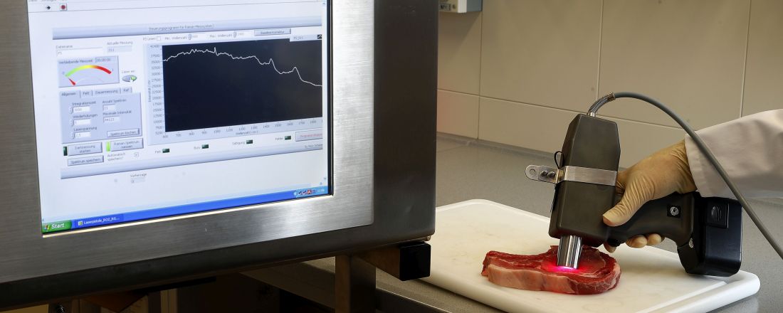 raman analyzer for meat